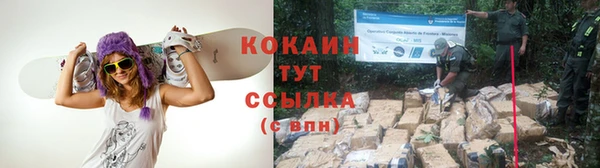гашик Иннополис
