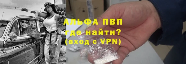 гашик Иннополис