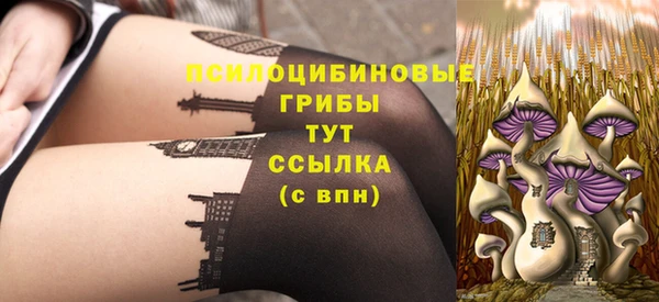 гашик Иннополис