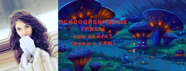 твердый Каменск-Шахтинский